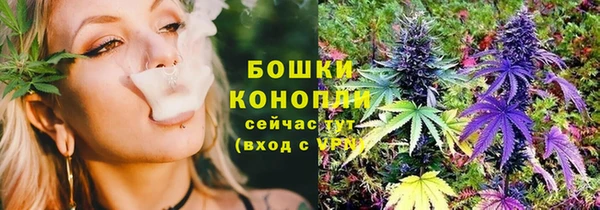 тгк Семёнов