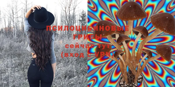 ALPHA PVP Абинск