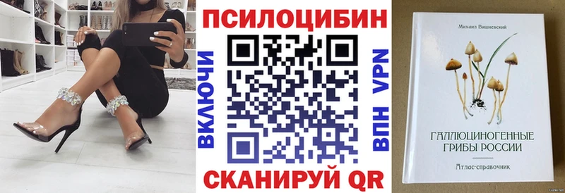 МЕГА ONION  закладка  Елизово  Галлюциногенные грибы MAGIC MUSHROOMS 